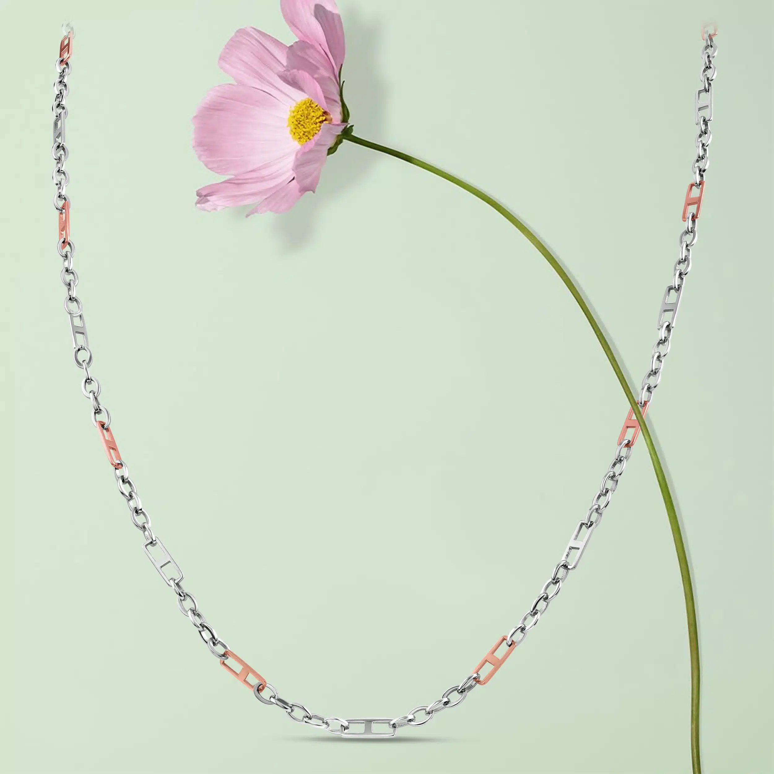 Chain creative photography using green background wjth a beautiful flower as prop. In andheri west mumbai studio.